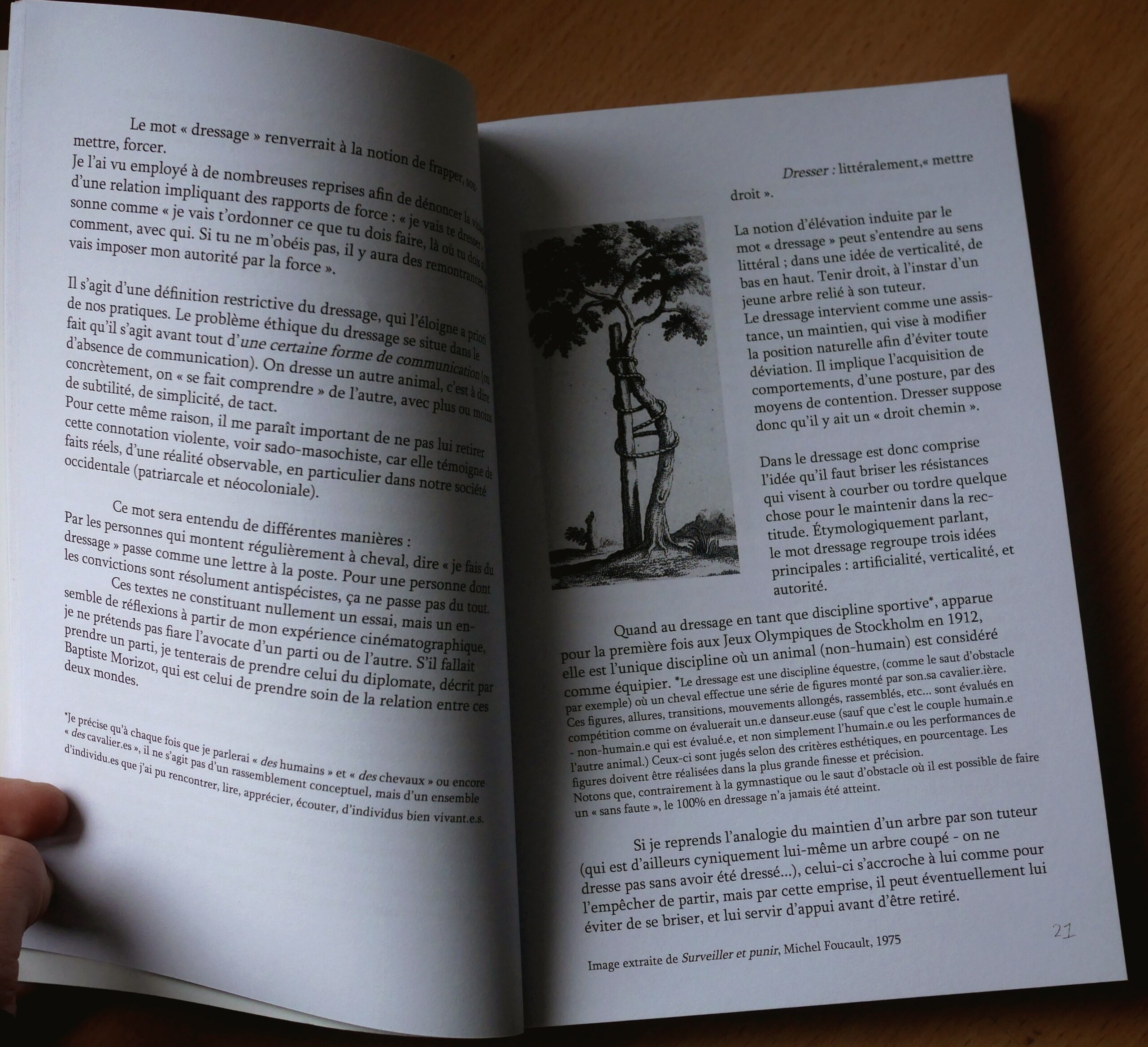 Unbranded publication image2 marine lahaix