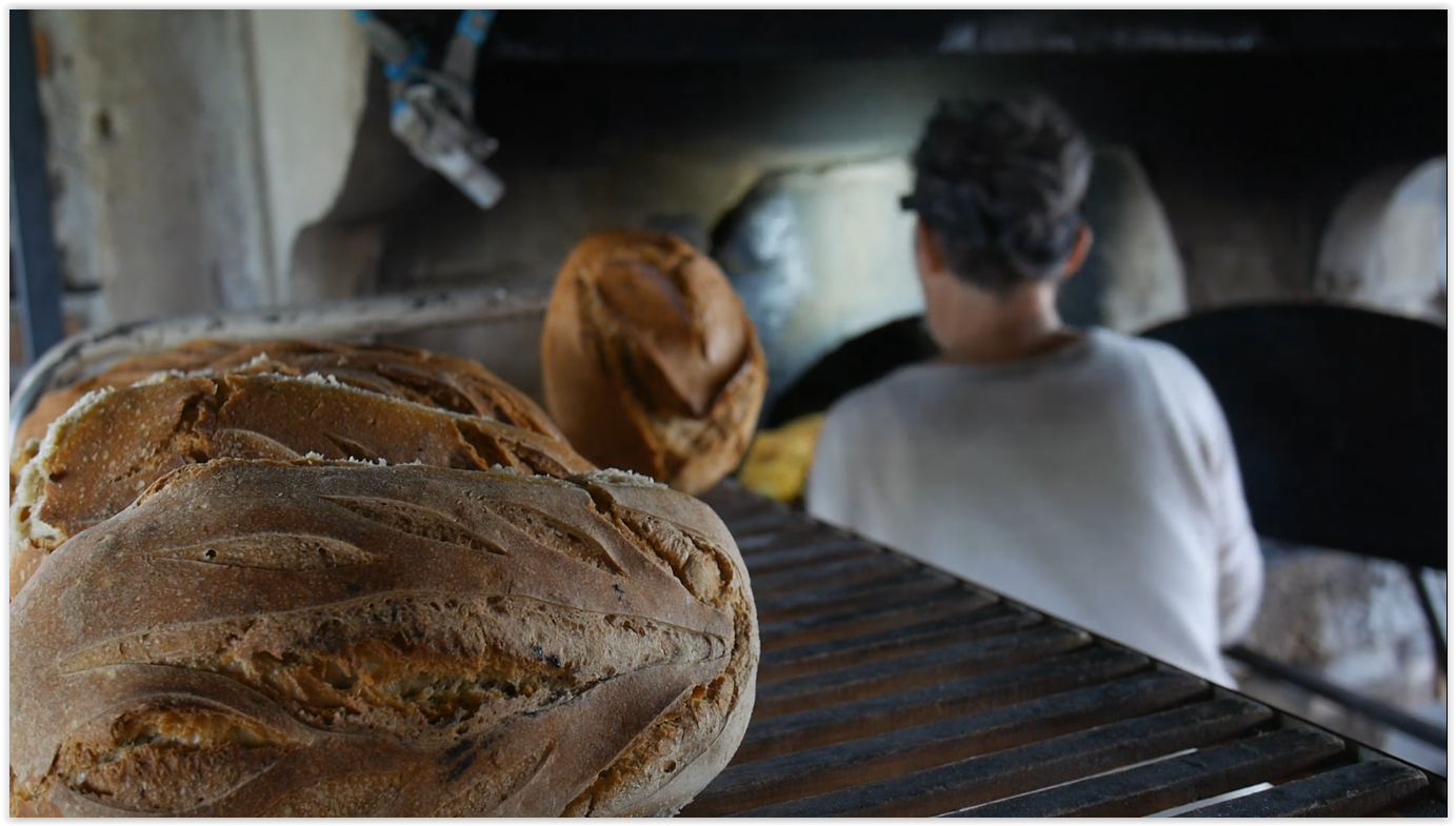 Du grain au pain screenshot (5)