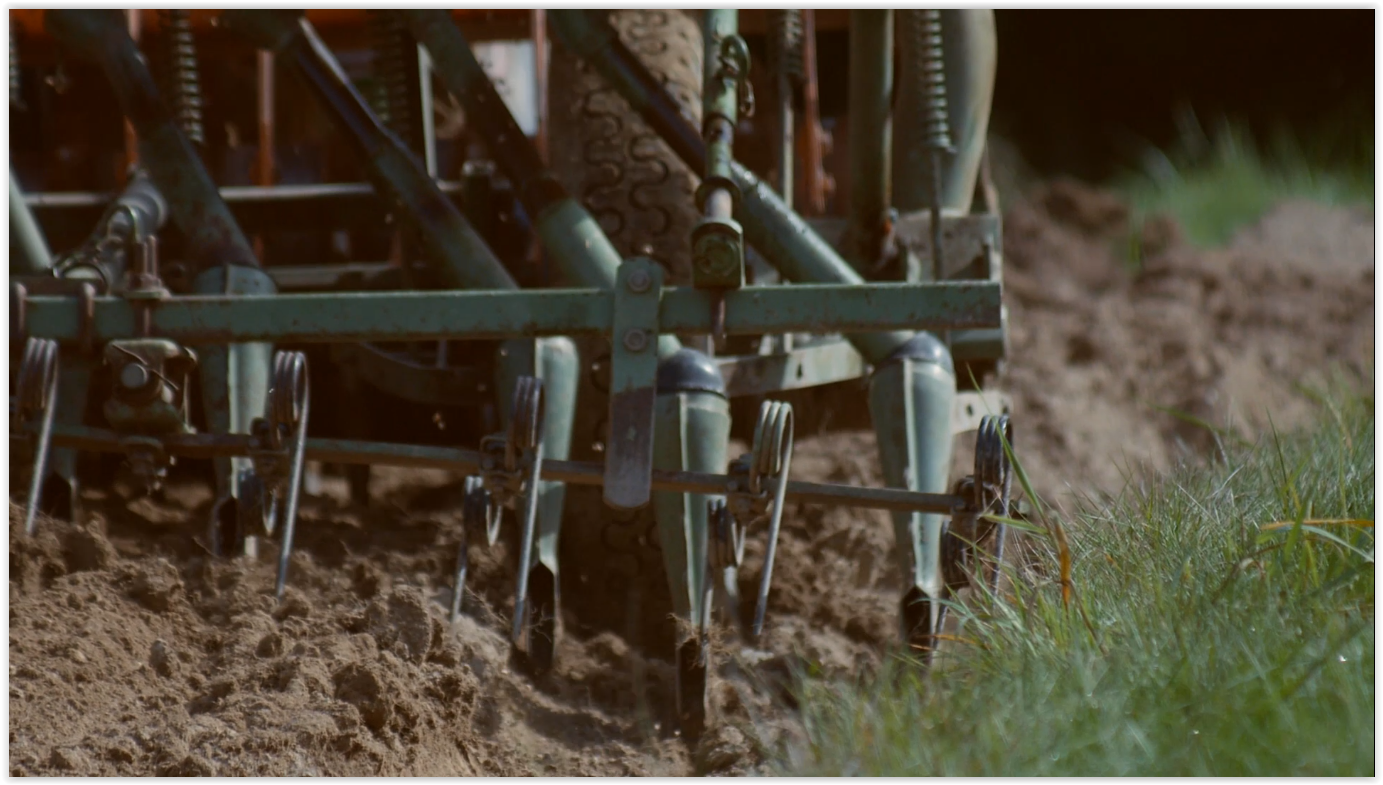 Du grain au pain screenshot (6)