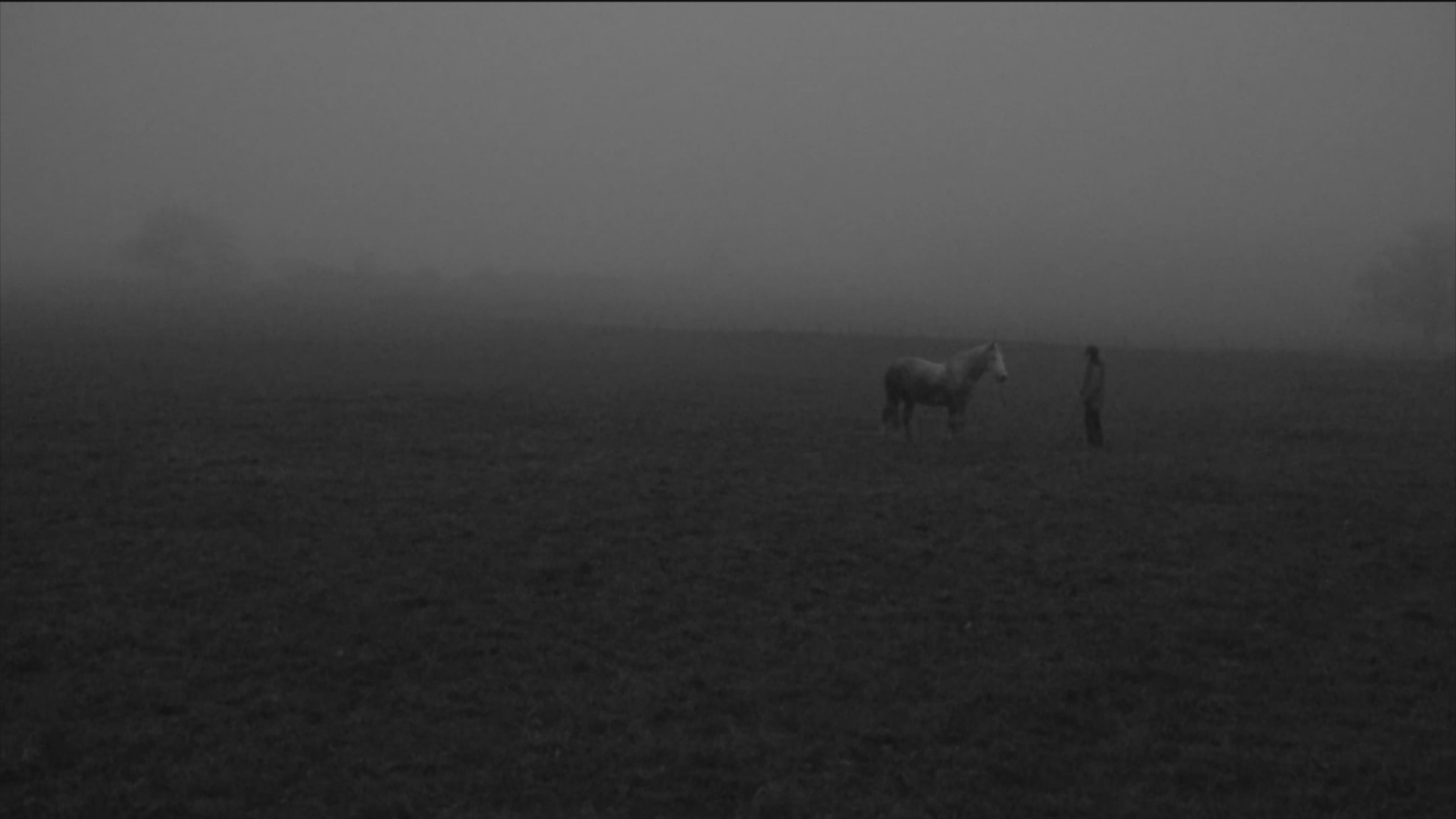 How to break a horse screenshot (4)
