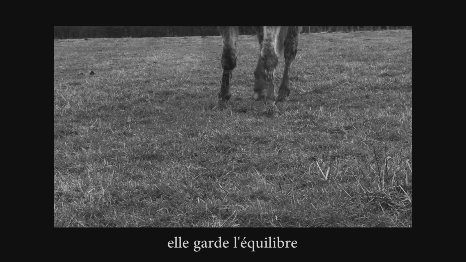 How to break a horse screenshot (5)