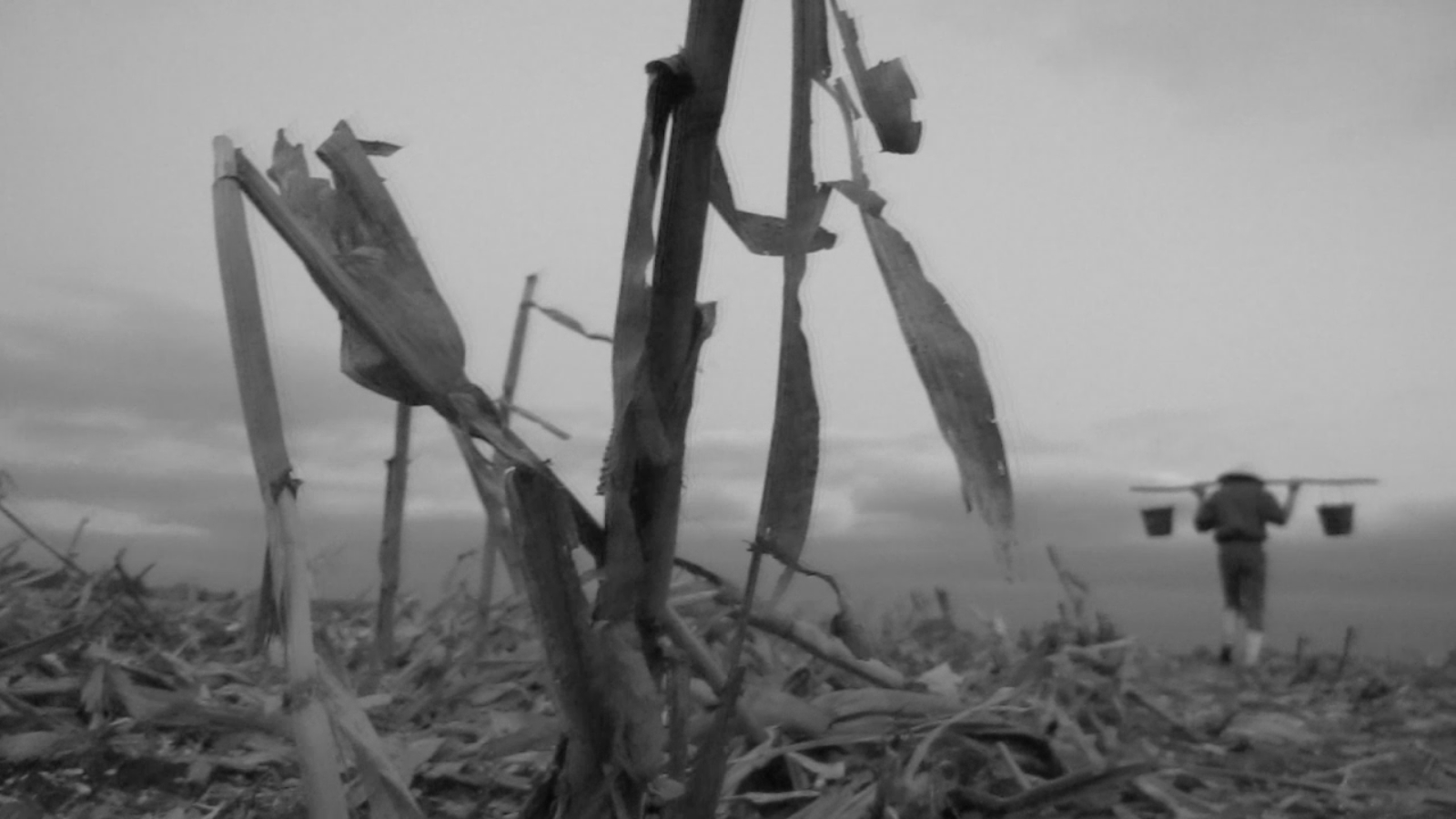 Living dead screenshot (9)