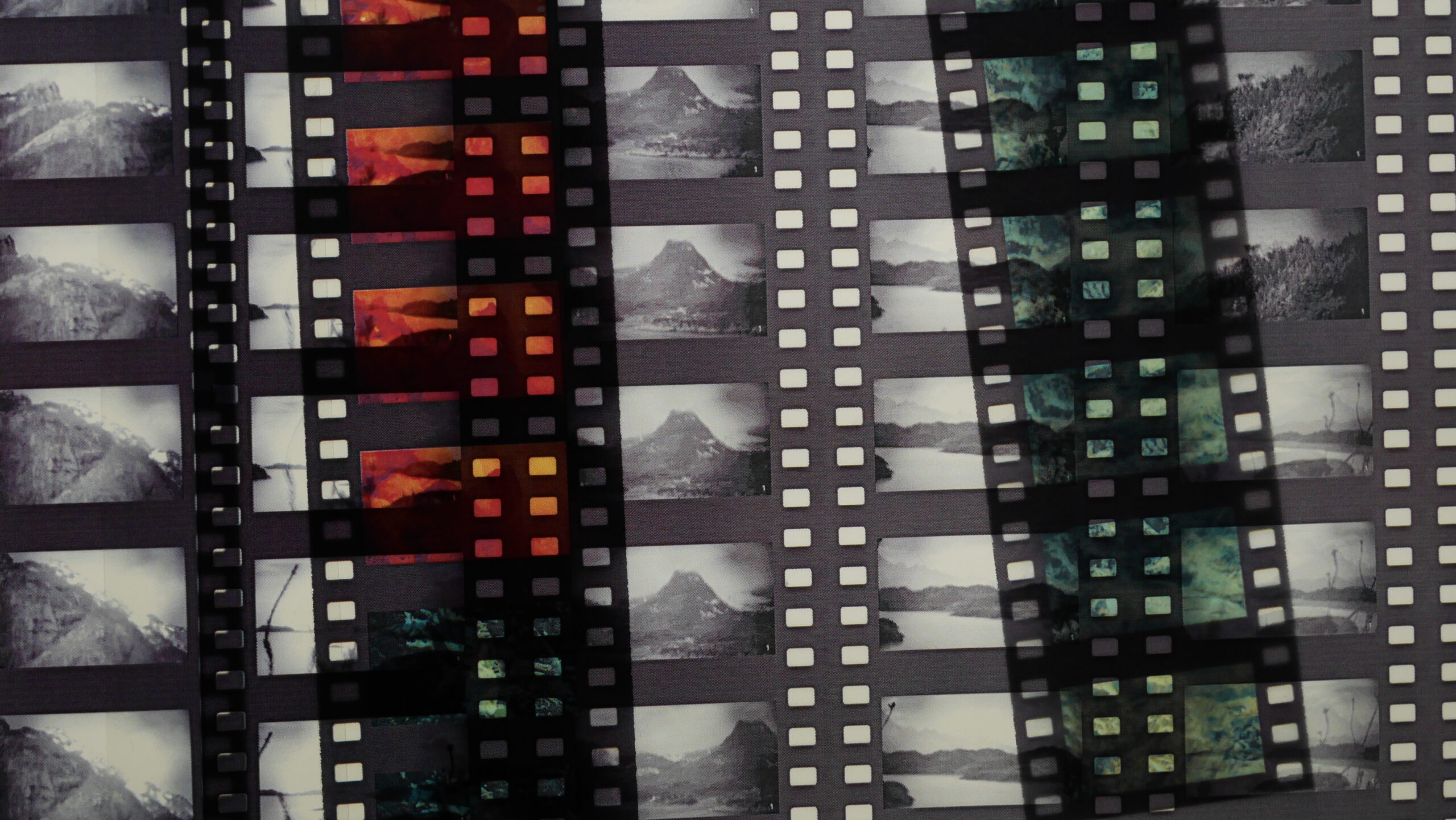 Photogrammes (1