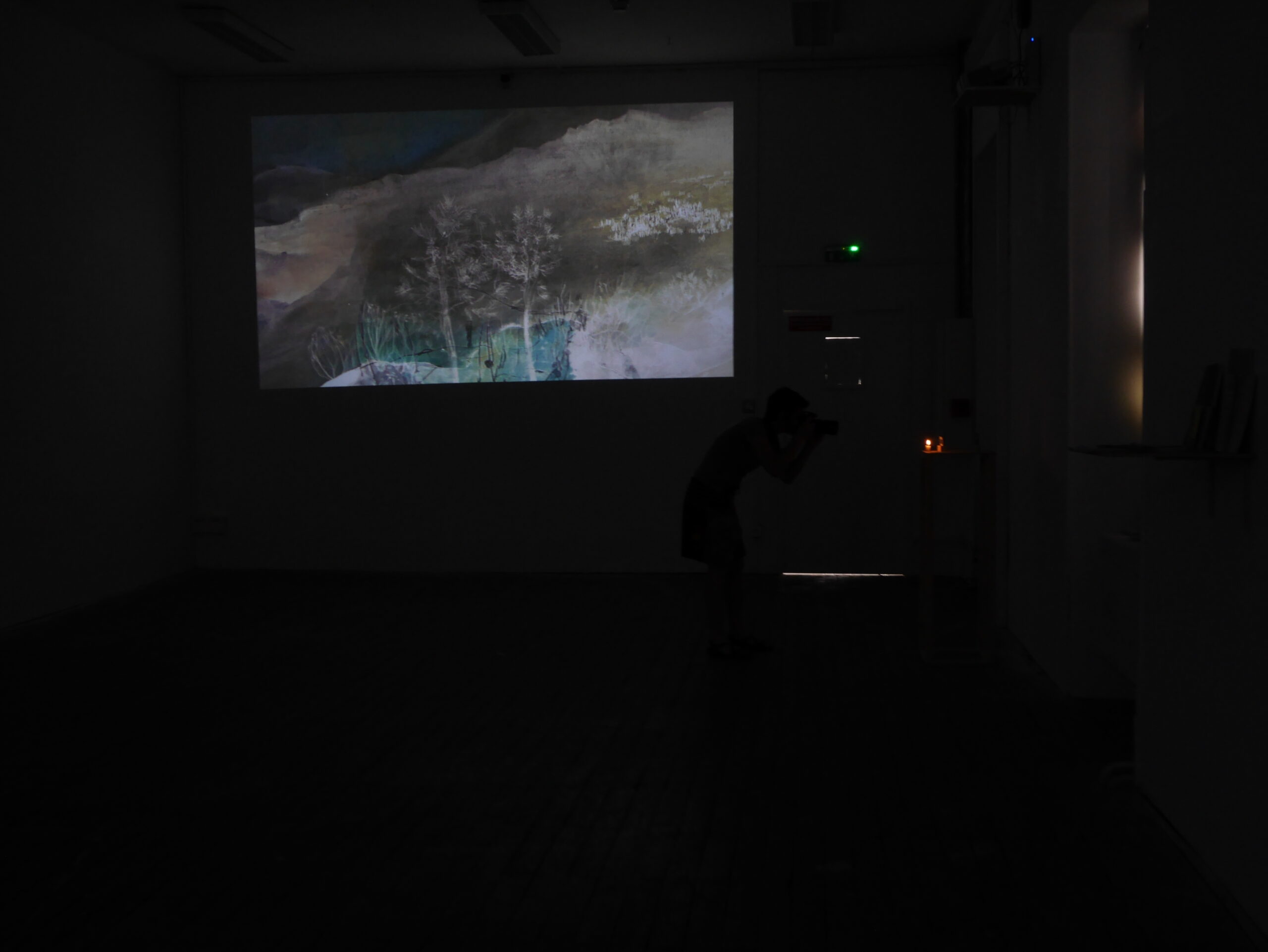 cranky roll landscape projection