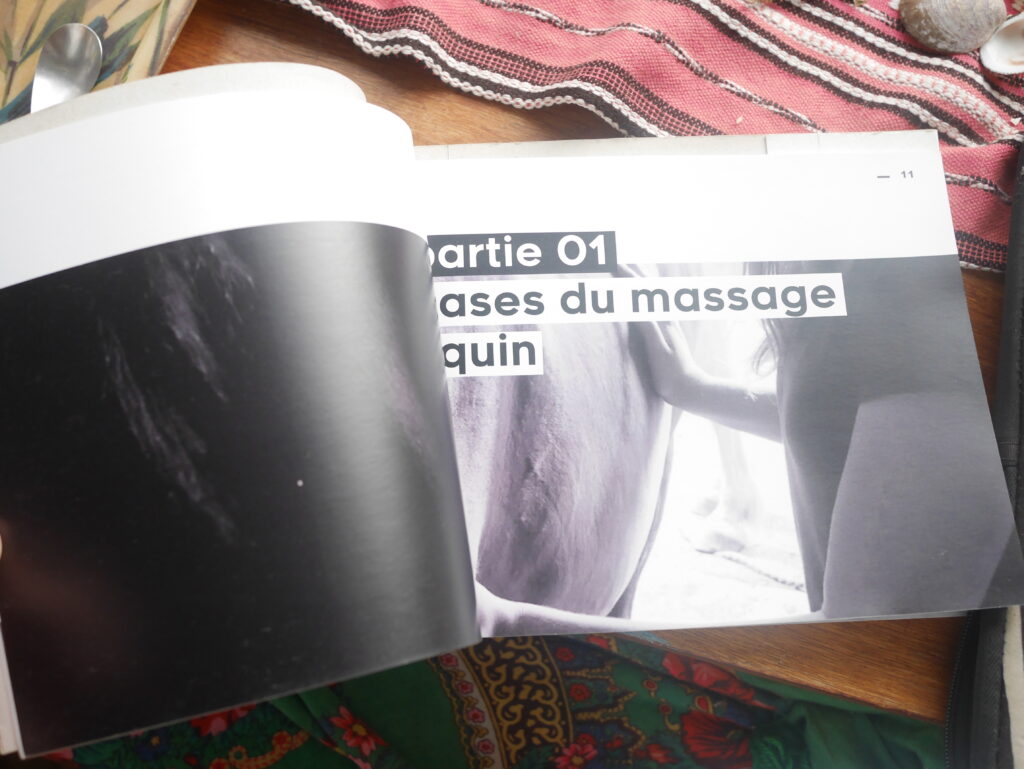 manuel massage équin (1)